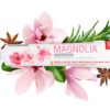 magnolia_big